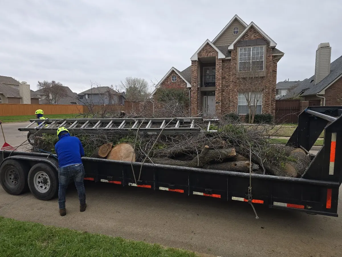 Expert Lot Clearing with proper safety equipment in Henley